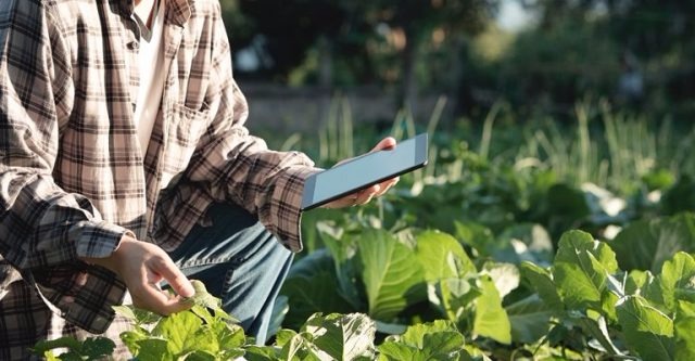 Um quarto dos produtores utiliza ferramentas digitais na gestão de propriedades