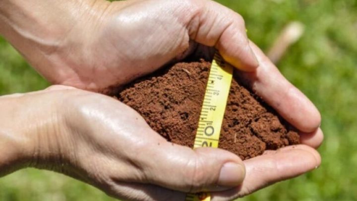 Zoneamento Agrícola de Risco Climático ganha nova regra