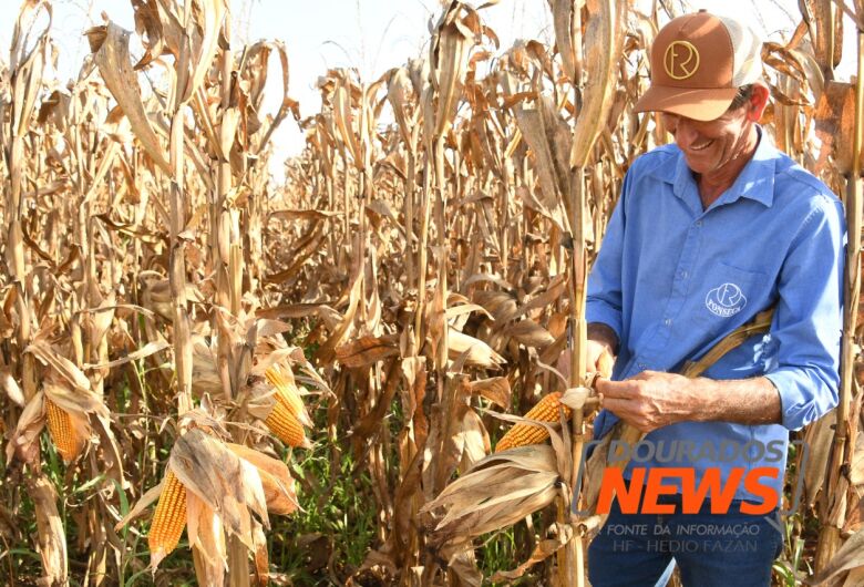 Agropecuária em agosto gera mais de 3 mil empregos formais no Mato Grosso do Sul