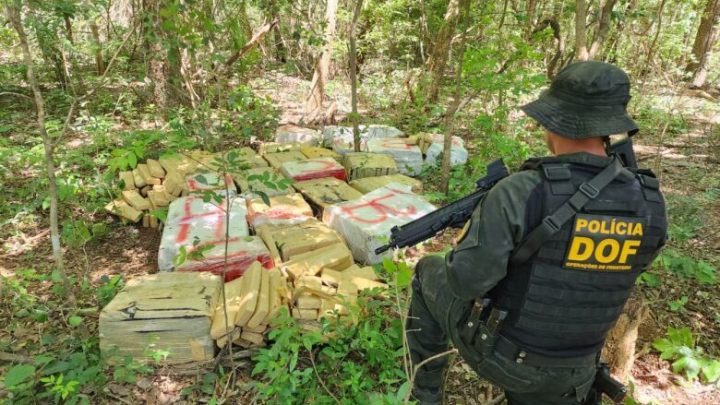 Polícia encontra mais de 600kg de maconha em meio a mata
