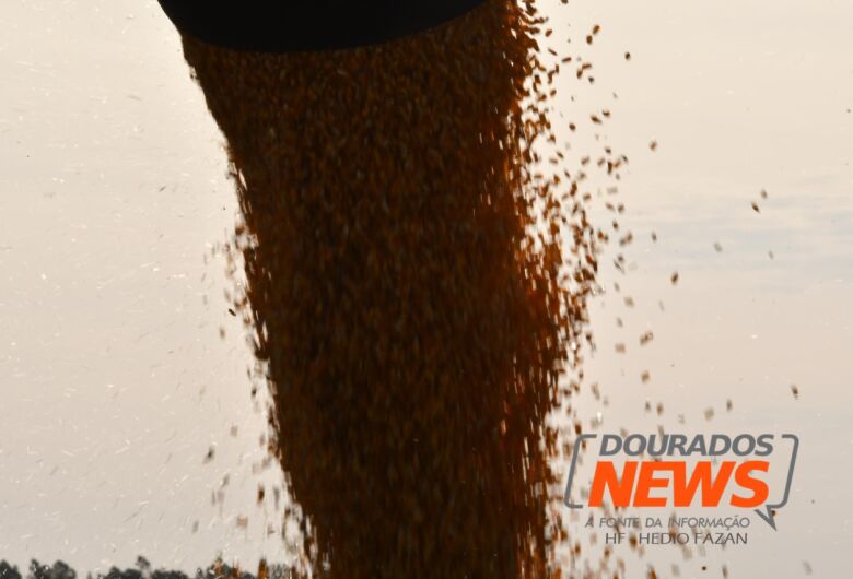 Safra de grãos 2022/23 é estimada em 312,2 milhões de toneladas