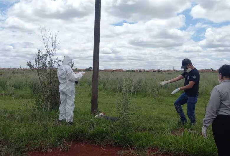 Homem de 51 anos é encontrado morto vítima de descarga elétrica