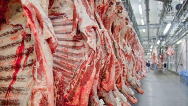 Exportação de carne bovina cresce 26% em 2022