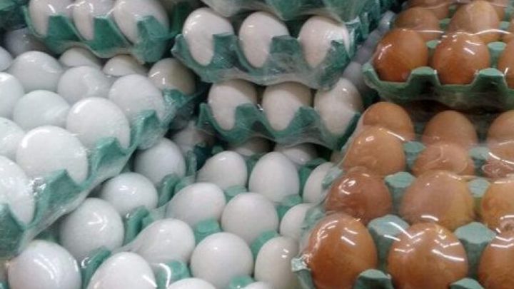 Emirados e Catar se destacam como destino dos ovos brasileiros