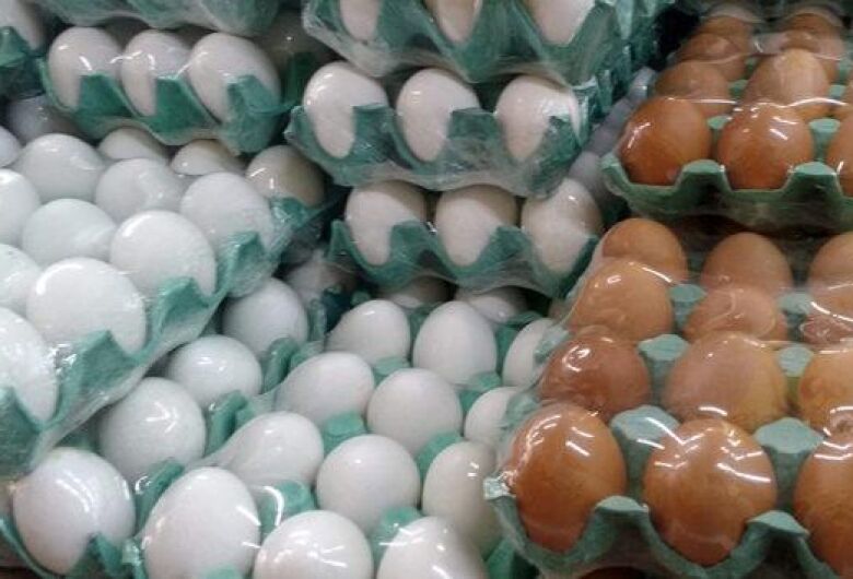 Emirados e Catar se destacam como destino dos ovos brasileiros