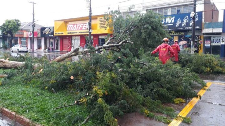 Chuva derruba árvore na Marcelino Pires e provoca alagamentos em bairros