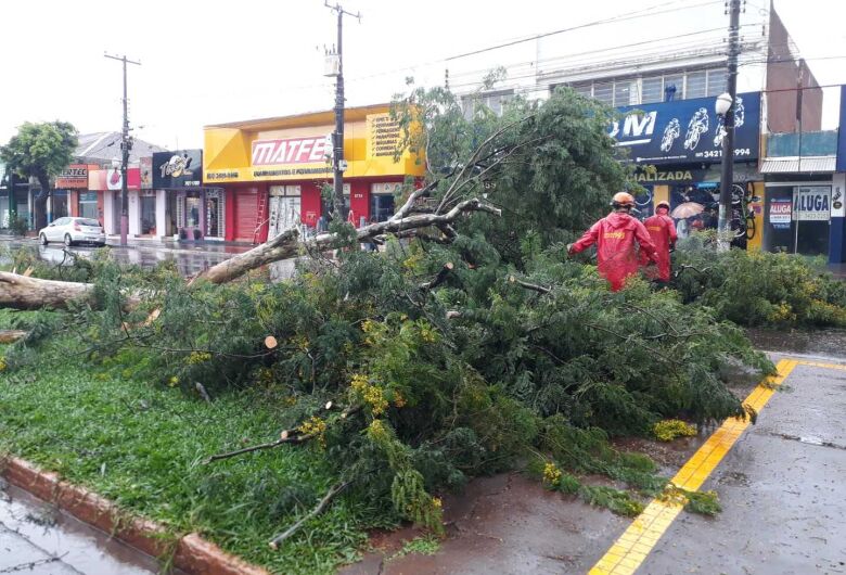 Chuva derruba árvore na Marcelino Pires e provoca alagamentos em bairros