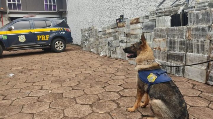 Polícia Rodoviária faz a maior apreensão de cocaína da história de MS