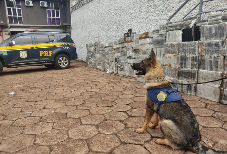 Polícia Rodoviária faz a maior apreensão de cocaína da história de MS