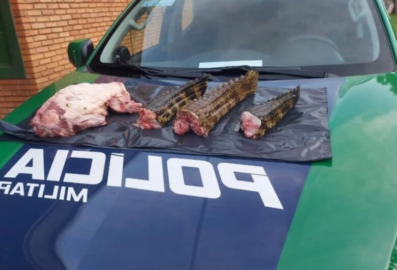 Caçadores são presos com carne de jacarés, quati, pistola e munições
