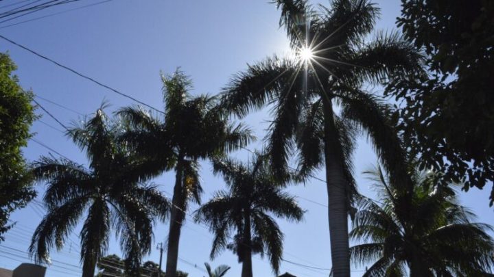 Temperatura sobe rápido e chega perto de 30°C nas primeiras horas da manhã