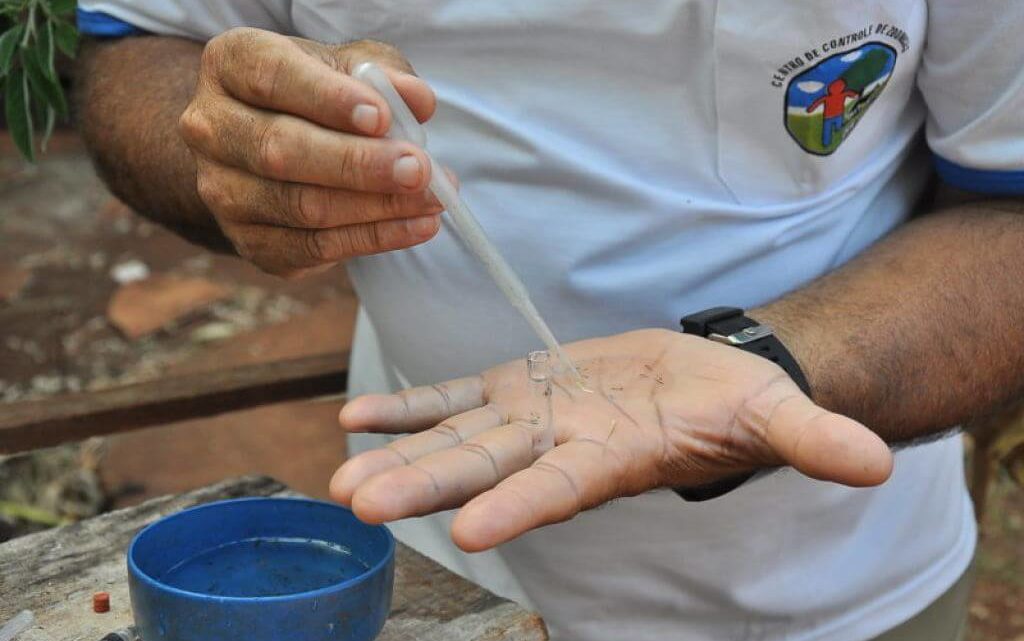 CCZ aplica mais R$ 40,8 mil em multas por focos do Aedes aegypti em Dourados