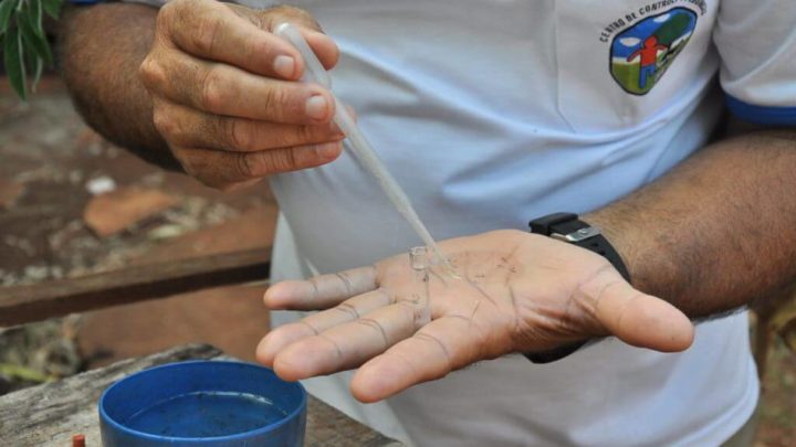 CCZ aplica mais R$ 40,8 mil em multas por focos do Aedes aegypti em Dourados