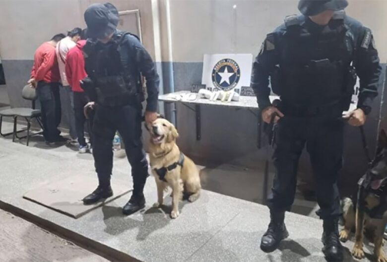 Com ajuda de cães, polícia flagra bolivianos com cocaína em táxi