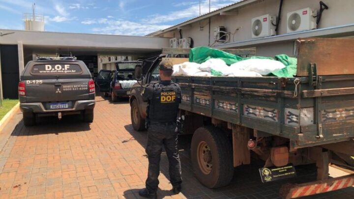 Polícia apreende cargas de vinhos e agrotóxicos contrabandeados em Dourados