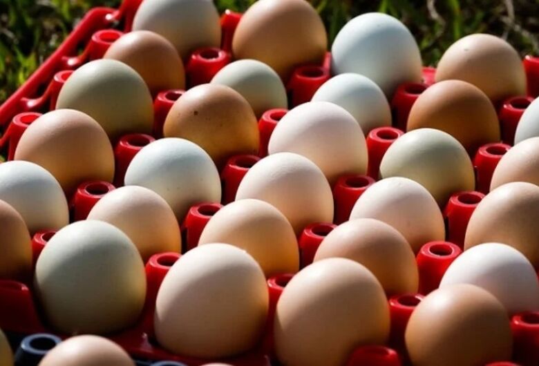 Forte demanda eleva os preços dos ovos