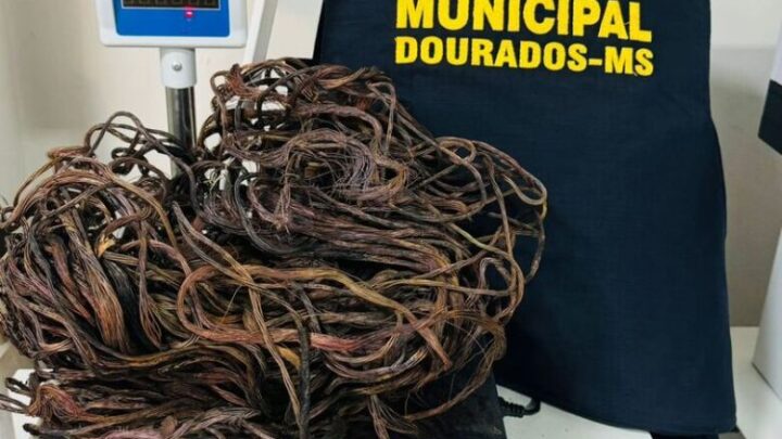 Jovens são detidos após furtarem 3 quilos de fios de cobre na Vila Roma
