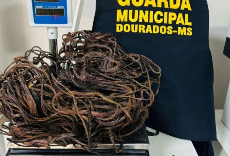 Jovens são detidos após furtarem 3 quilos de fios de cobre na Vila Roma