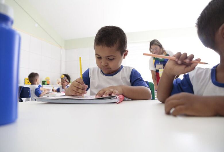 Redes podem responder à pesquisa de educação infantil até 21 de julho