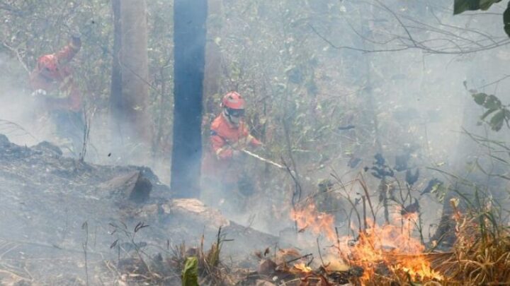 Pantanal tem oito focos ativos mesmo após semana de frio e chuva em MS