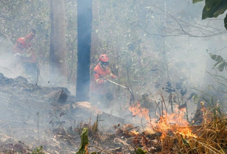 Pantanal tem oito focos ativos mesmo após semana de frio e chuva em MS