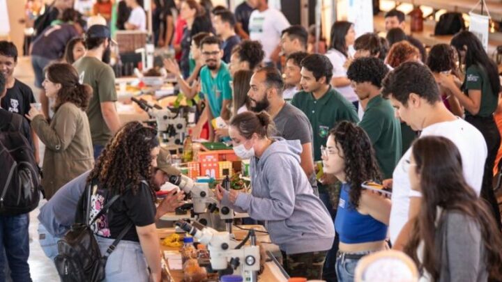 Escolas de Dourados podem se inscrever para o Faculdades Abertas