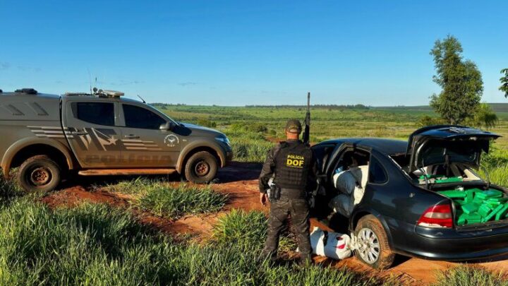 Polícia apreende quase 500 quilos de drogas em operação em Iguatemi