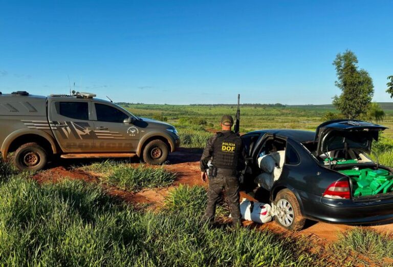 Polícia apreende quase 500 quilos de drogas em operação em Iguatemi