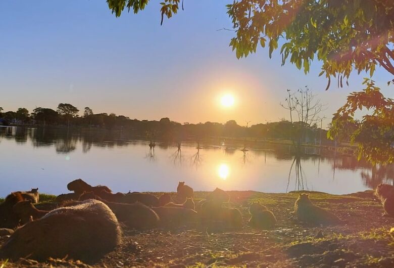 Em meio a onda de calor, previsão aponta para fim de semana acima dos 35ºC em Dourados